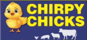 WhatsApp Image 2025-11-07 at 13.29.58_8f74ff7b